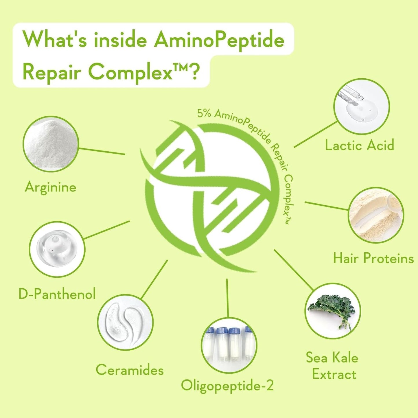 Diagram of AminoPeptide Repair Complex ingredients on a light green background
