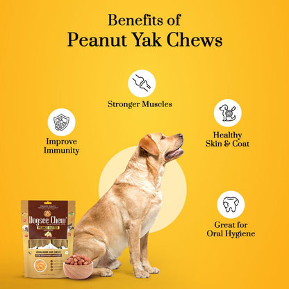Dogsee Peanut Butter Infused 100% Natural Yak Chew Bones for Dogs 140 gm (Medium - 2 Chews) Healthy Alternative to Rawhide - High Protein, All Life Stages