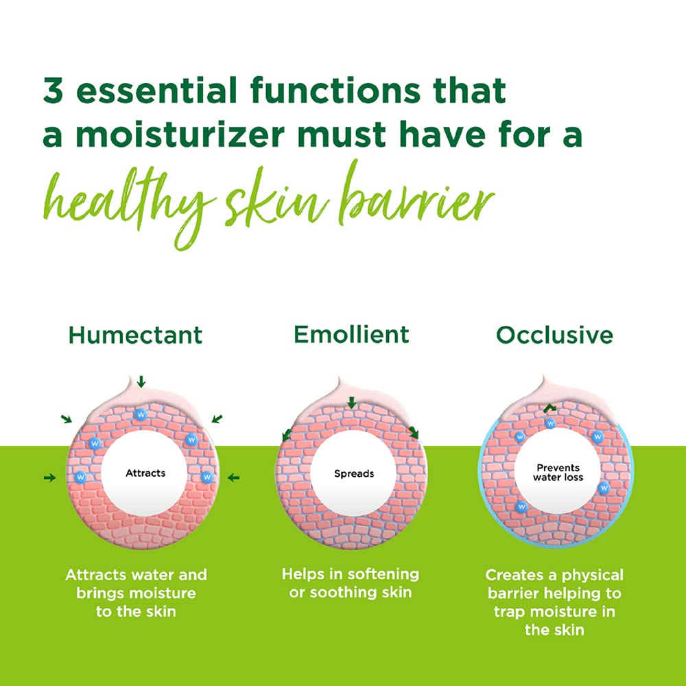 Diagram of 3 essential functions of a moisturizer for a healthy skin barrier on a green background.