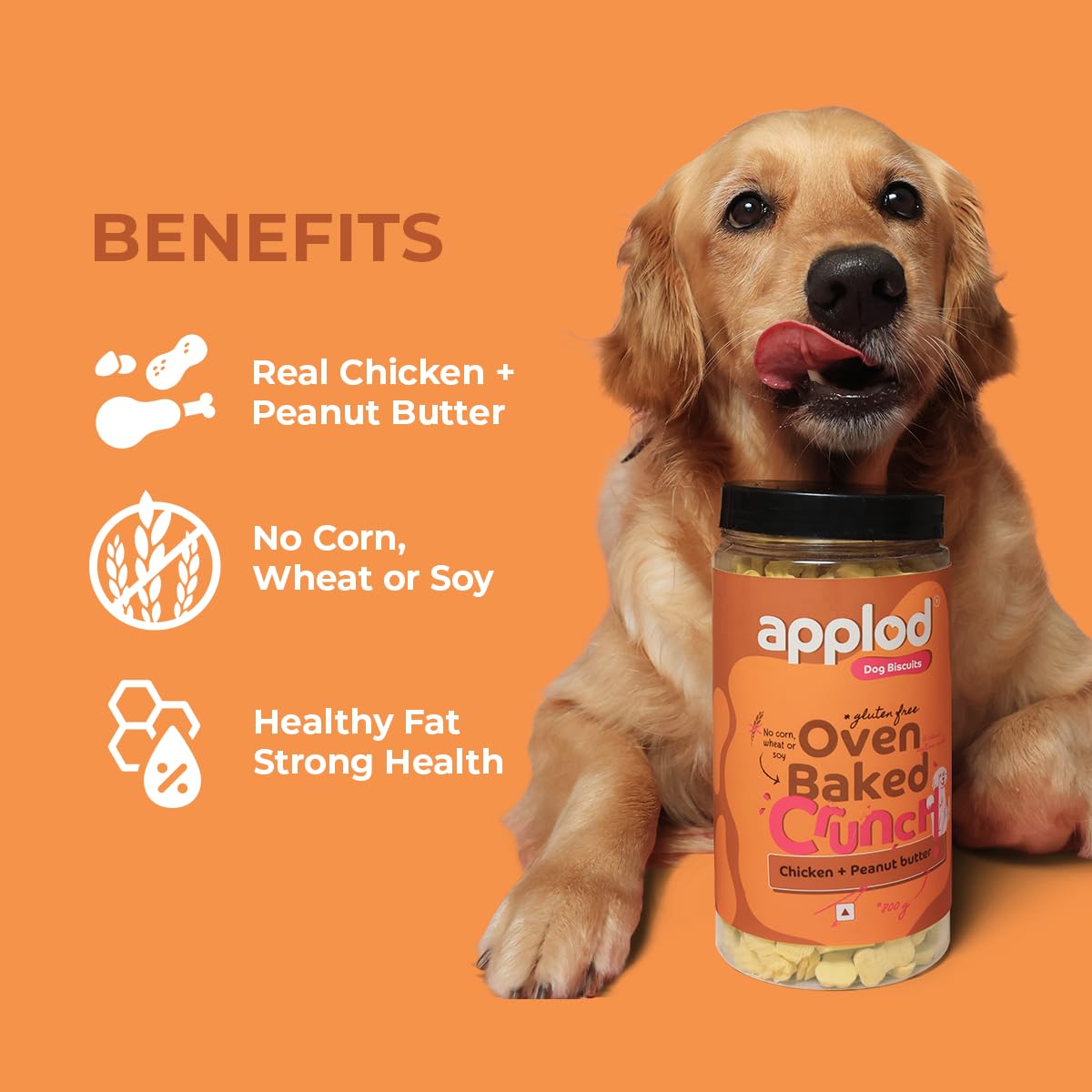 applod Crunch-a-Licious Chicken & Peanut Butter Dog Biscuits for Puppies & Adult Dogs | Gluten-Free Crunchy Treats Made with Real Chicken Protein | Healthy Training & Reward Snacks | 800g