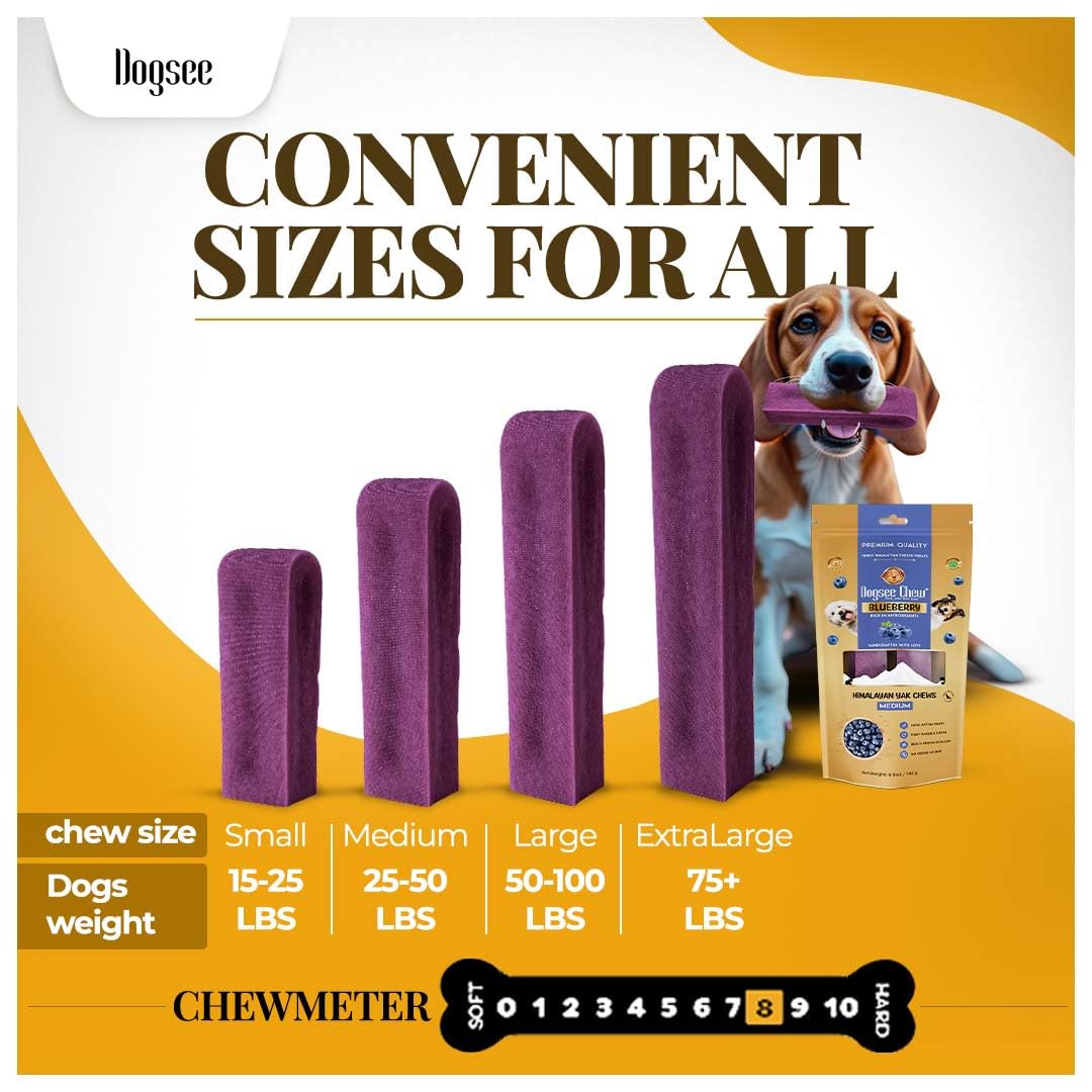 Dogsee Flavored Himalayan Yak Cheese Dental Chews for Dogs 140g (Medium - 2 Chews) | for Healthy Skin & Coat | No Grain, No Gluten | Odorless Dog Treats (Medium, Blueberry)