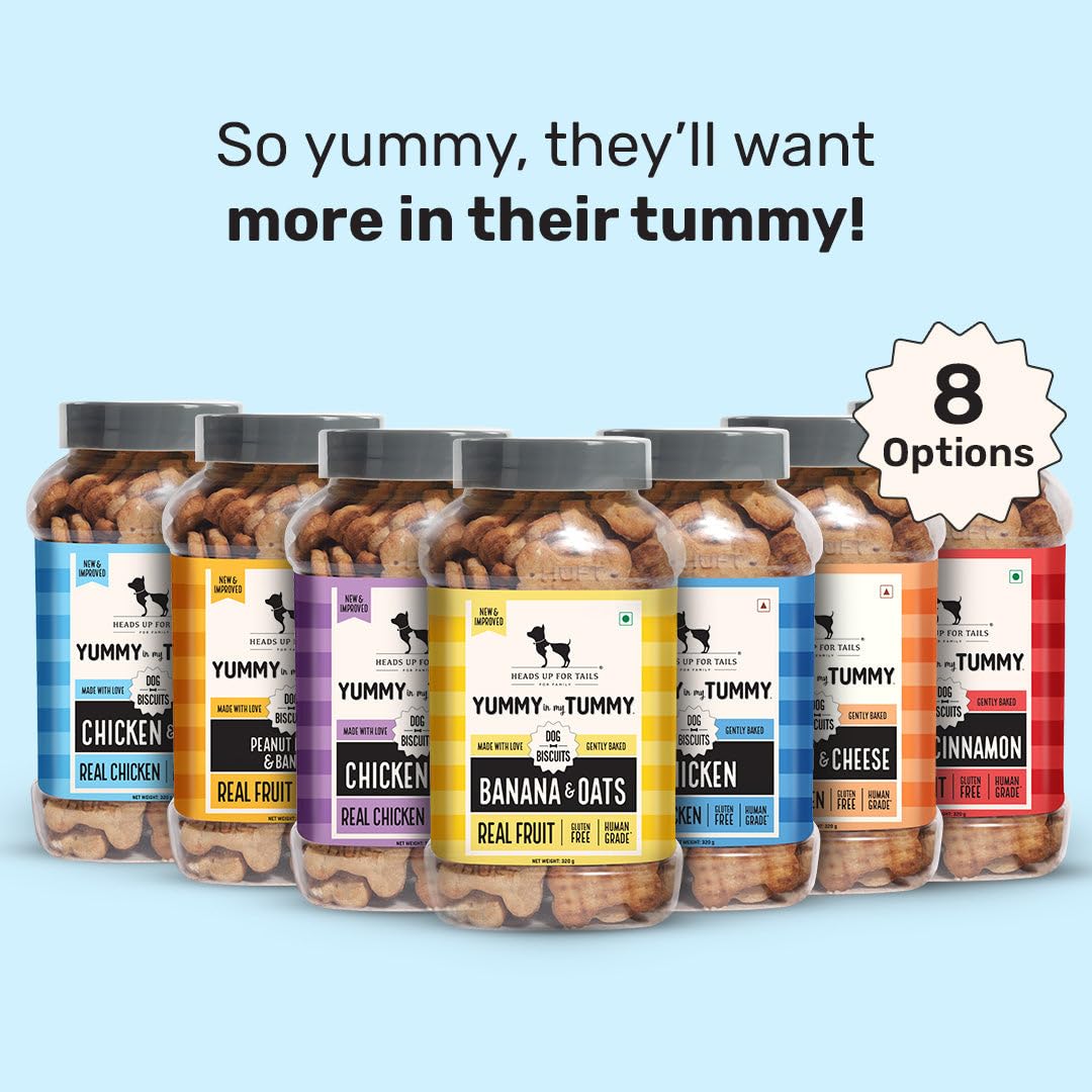 Yummy in My Tummy by HUFT Chicken & Oats Dog Biscuits – 800 gm | Crunchy & Healthy Treats for Puppies (2+ Months) & Adult Dogs | High-Protein Snack | Ideal Training Treat for All Breeds Dogs