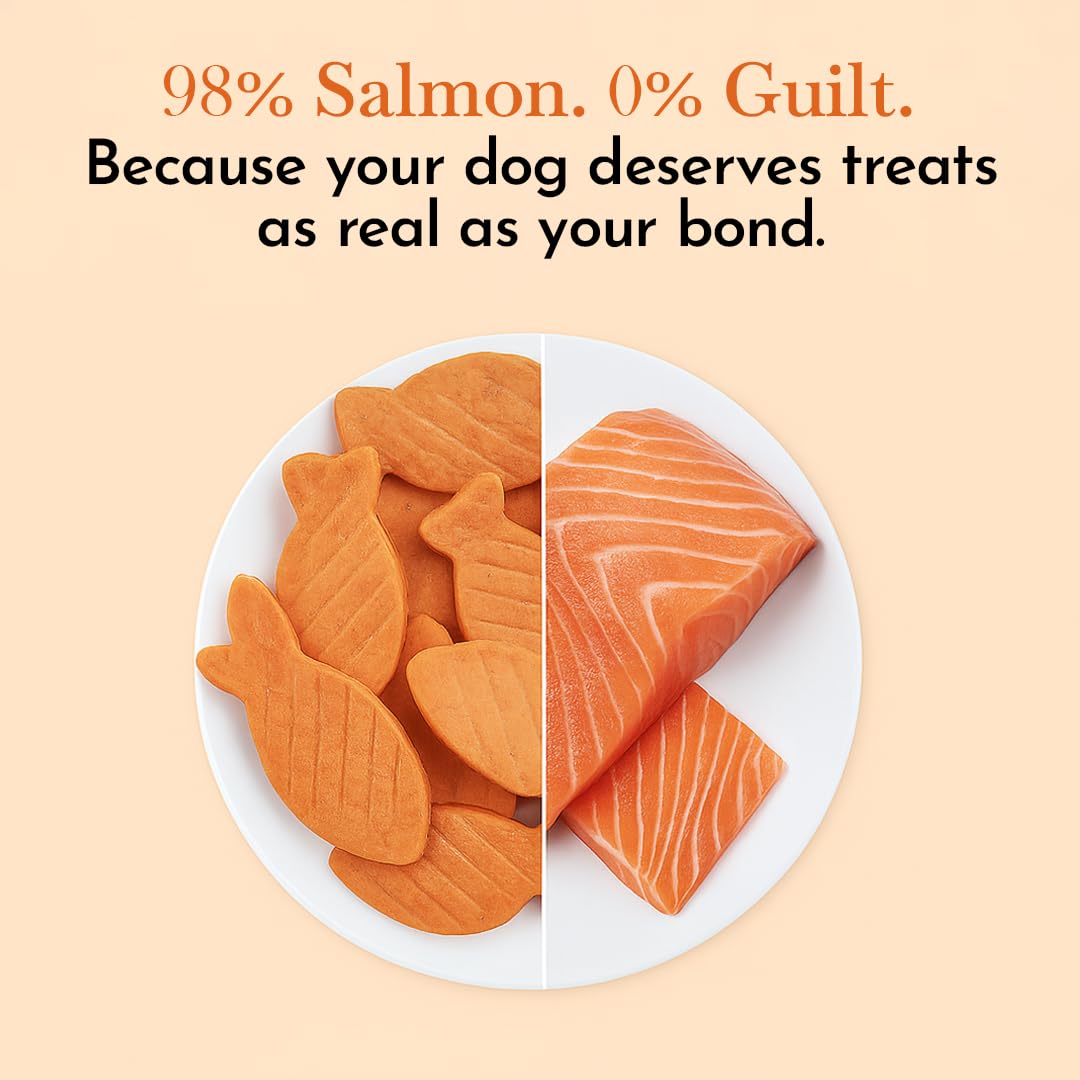 PETS EMPIRE O'Dog Fish Shape Salmon Fillet, Healthy Dog Treats, Chewy Dogs Bites for Training and Feeding, Made with Real Salmon, Non-Vegetarian Pup Snacks for Dogs, Puppies - 100g