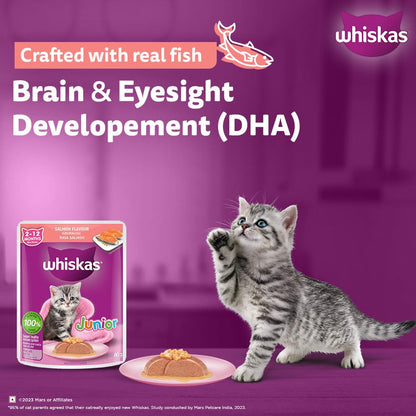Whiskas Junior Kitten (2-12 Months) Wet Cat Food, Salmon in Jelly Flavour, 80 g, Hydrating Food Made with Real Fish, 100% Complete & Balanced Nutrition for Kittens