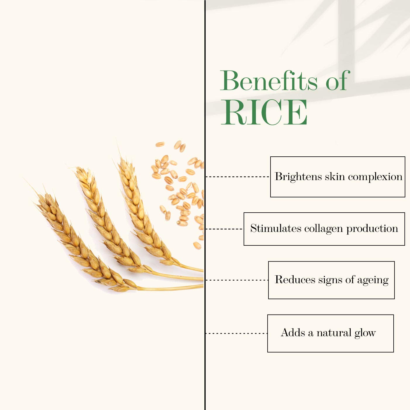 Good Vibes Rice Brightening Toner 120 ml, Hydrating Light Weight Moisturizing Glowing Face Spray Toner for All Skin Types, Natural, No Alcohol, Parabens & Sulphates, No Animal Testing