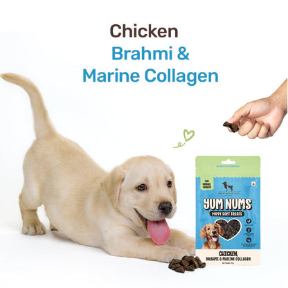 Yum Nums by HUFT Soft & Chewy Sticks - 70 gm| Chicken, Brahmi & Marine Collagen Puppy Treats | Healthy Dog Treats | Training Treats | High Protein, Joint Support