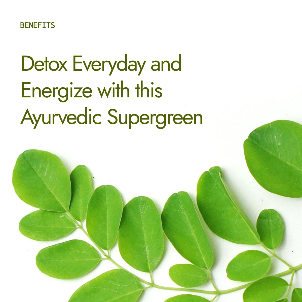 Kapiva Certified Organic Moringa Powder 200g | From Pure Drumstick Leaves | Gives Natural Energy & Nutrients