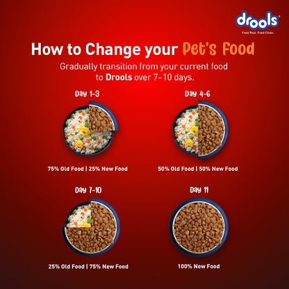 Drools Adult Dry Dog Food 1kg | Turkey and Pumpkin Flavour | Supports Skin Nourishment and Coat Radiance | Promotes Healthy Digestion | Natural Antioxidants | Strengthen Immunity