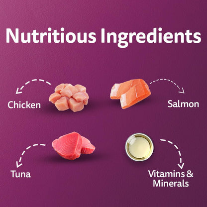 Whiskas Junior Kitten (2-12 Months) Wet Cat Food, Salmon in Jelly Flavour, 80 g, Hydrating Food Made with Real Fish, 100% Complete & Balanced Nutrition for Kittens