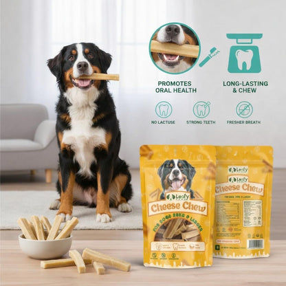 LeafyPaws Himalayan Cheese Chew Dog Treats (95g) | 100% Natural Long Lasting Yak Milk Chews for Medium & Large Dogs (25kg+) | Lactose Free, Grain Free, No Preservatives, Dental Support (Orginal)