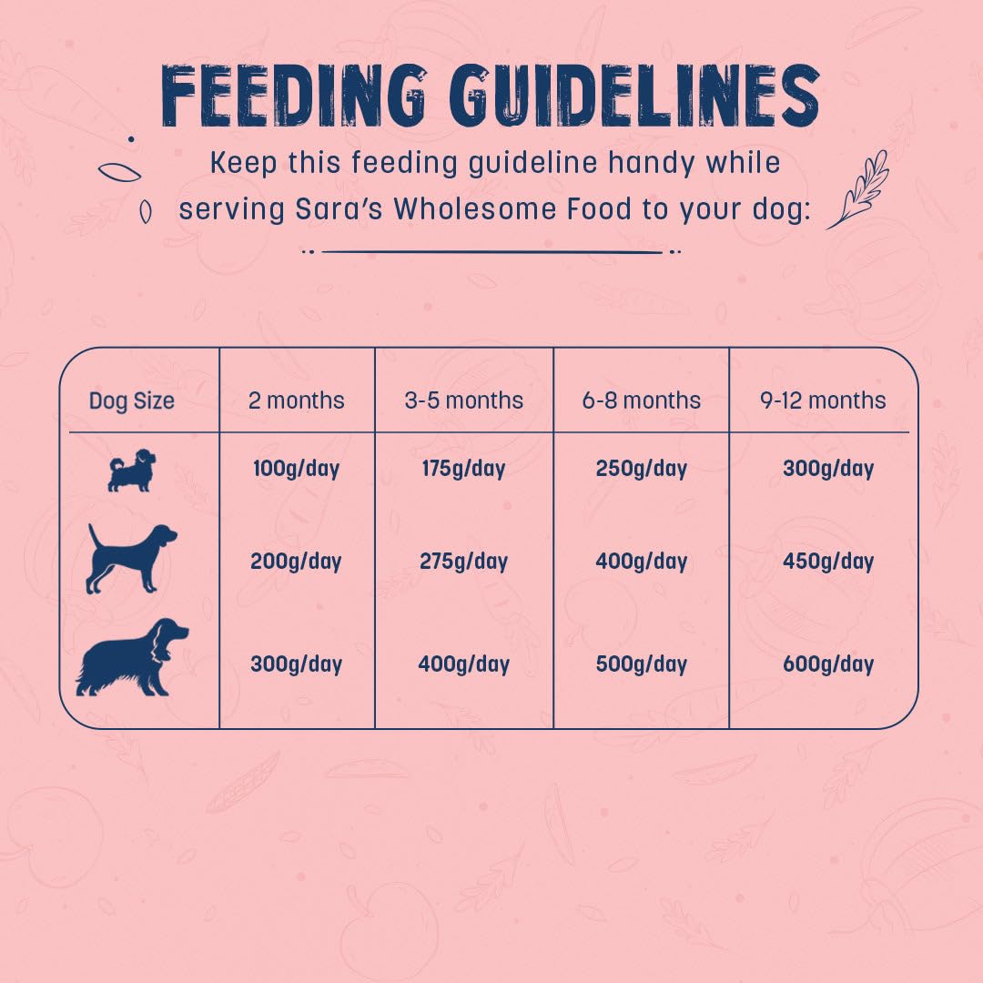 Sara's Wholesome by HUFT Chicken & Brown Rice Puppy Meal – 100 gm | Wet Nutrition for Growing Dogs | High-Protein Recipe with Real Meat | No Preservatives or Additives