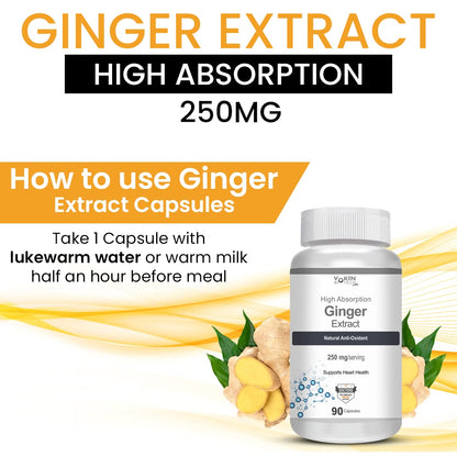 Yokin Ginger Extract supplement bottle with ginger roots and text on a white background