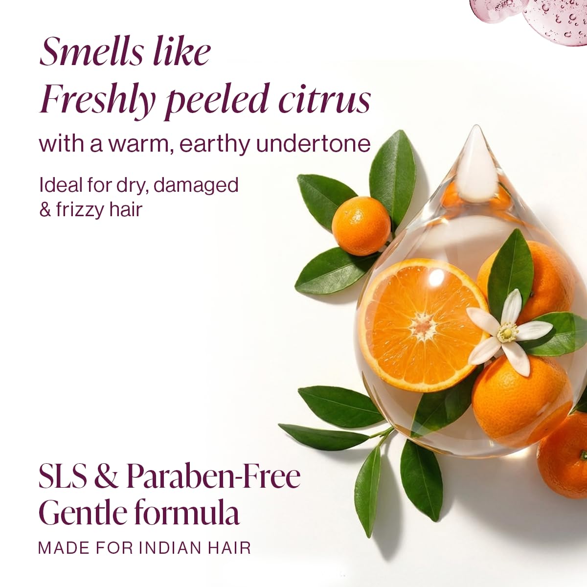 Hydrating Shampoo, Dry Hair, Frizzy Hair, Bond Repair, Moisturizing, Nourishing, Strengthening, Frizz Control, Hair Repair, Chemically Treated Hair, SLS Free, Paraben Free, Salon Care, Hair Care, 300ml