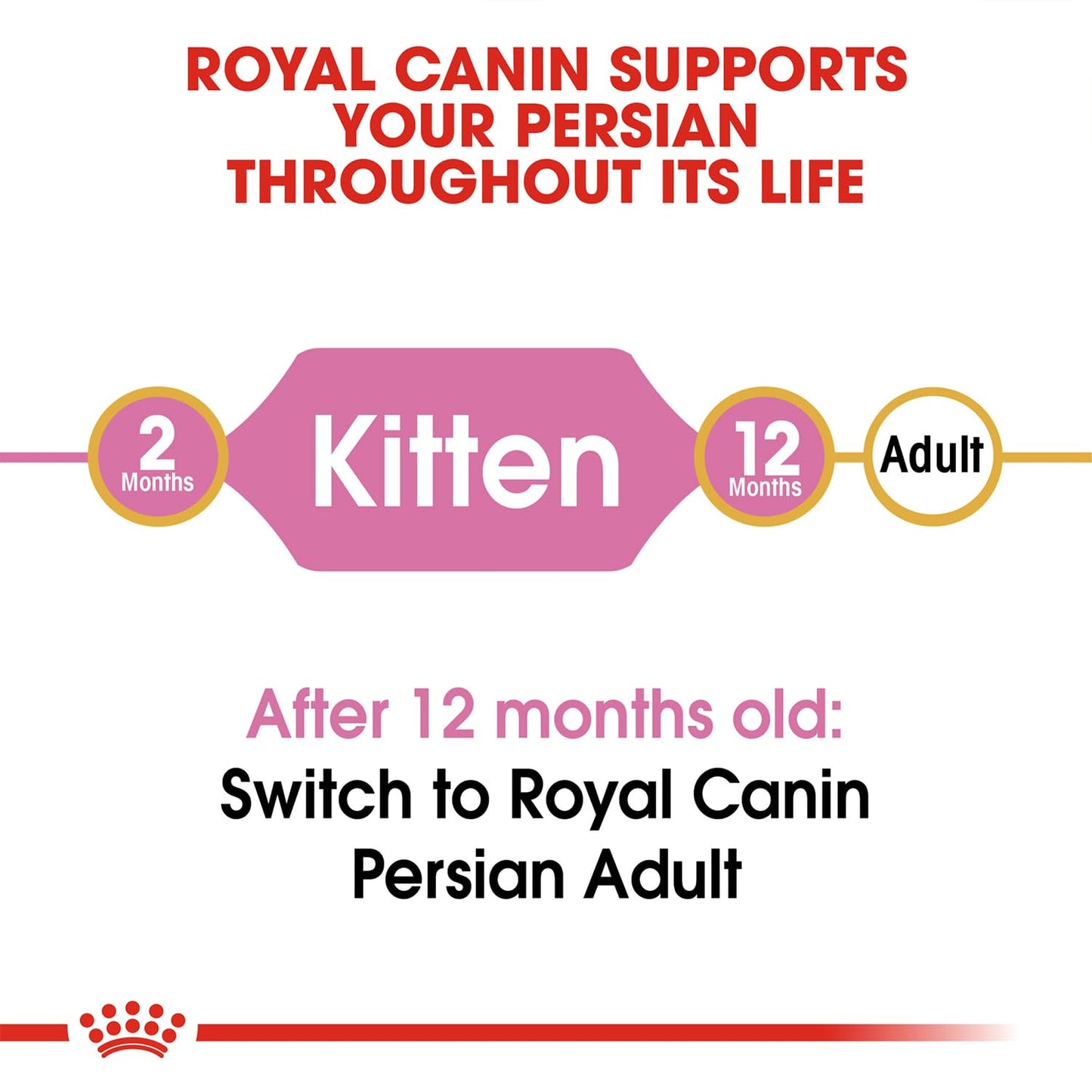 Royal Canin Persian Kitten, Dry Food, 1 kg | Promotes Healthy Growth And Long Hair While Supporting Digestion And Immunity
