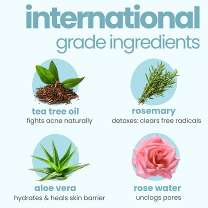 International grade ingredients with images and descriptions on a light blue background