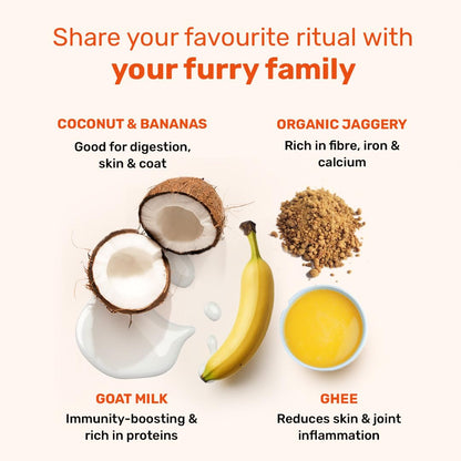 Yummy in My Tummy by HUFT Chai Time Coconut Dog Biscuits – 200 gm | Gluten-Free Vegetarian Crunchy Treats for Puppies & Adult Dogs | Healthy Snack | Suitable for All Breeds Dogs