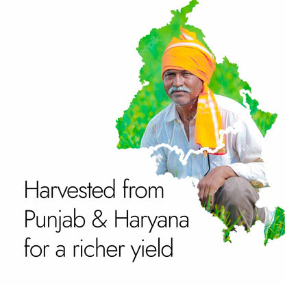 Kapiva Gokshura Capsules | Natural Source for Energy, Performance, Stamina & Muscle Growth | Men's Wellness | Tribulus | 60 Caps, 500mg each