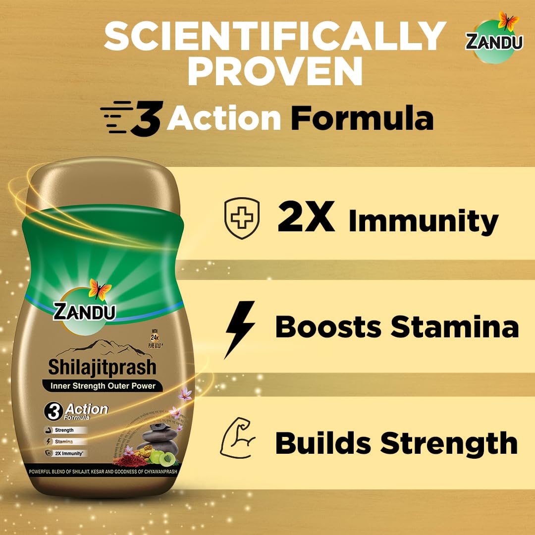 Zandu Shilajitprash | Dual Goodness of Chyawanprash & Shilajit/Shilajeet | Strength, Stamina & 2X immunity* | 450g I 24K Gold Bhasma & 47 Potent Herbs I No added sugar I 100% ayurdevic