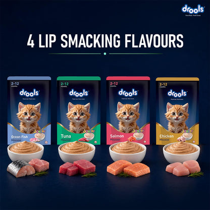 Drools Kitten Wet Mousse 80g | Tuna | High Protein | Promotes Hydration & Easy Digestion | Grain Free | No Artificial Additives | Enriched with Vitamins & Antioxidants