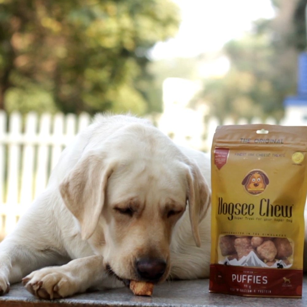 Dogsee Chew Puffies | 100% Natural Himalayan Yak Chews | Ideal Training Treats | Gluten-Free and Grain-Free Nutrition for Dogs of All Ages and Breeds - 70 Gm