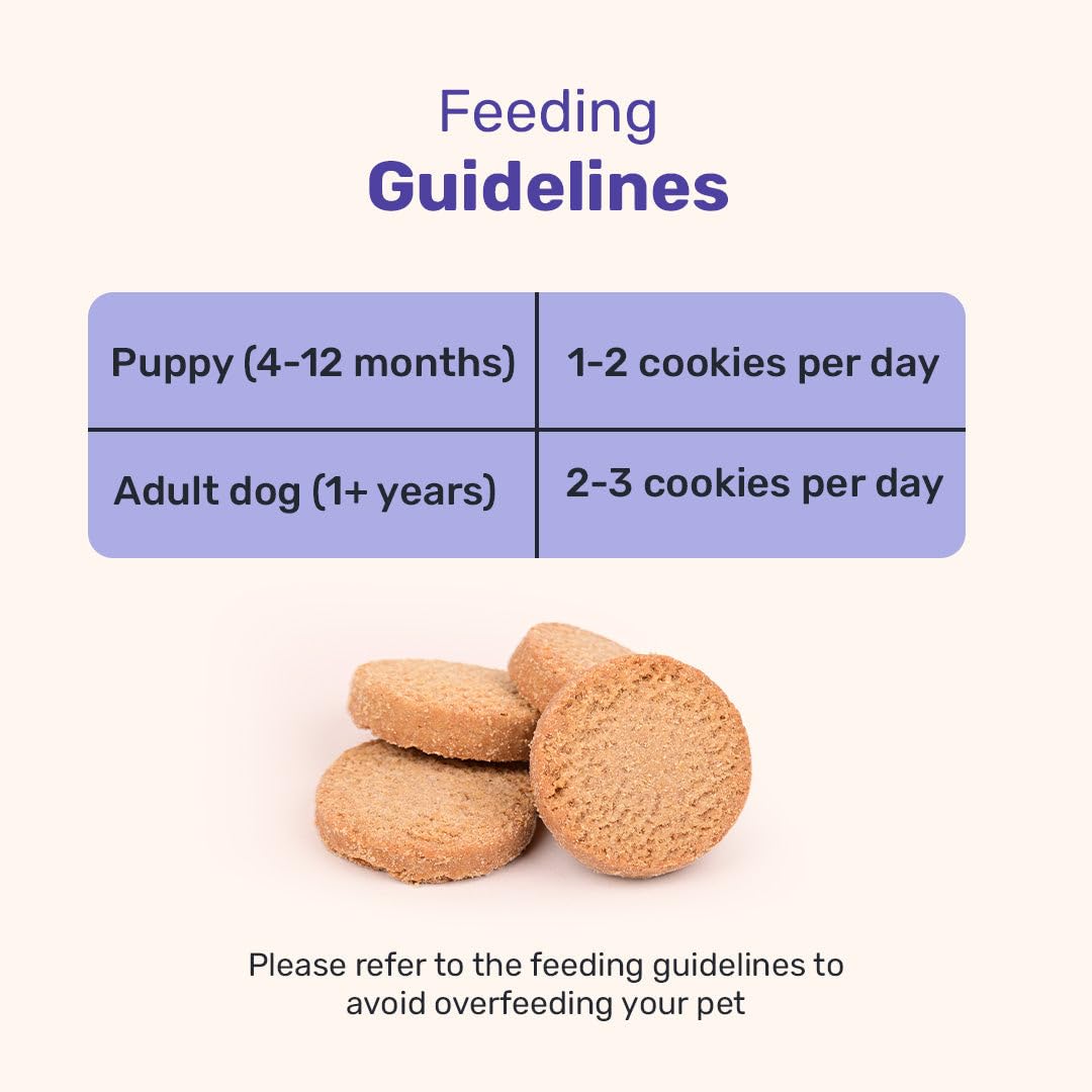 Yummy in My Tummy by HUFT Snooze Time Chamomile & Lavender Dog Biscuits – 200 gm | Calming Gluten-Free Vegetarian Treats for Puppies & Adult Dogs | Crunchy & Healthy Snack for All Breeds Dogs