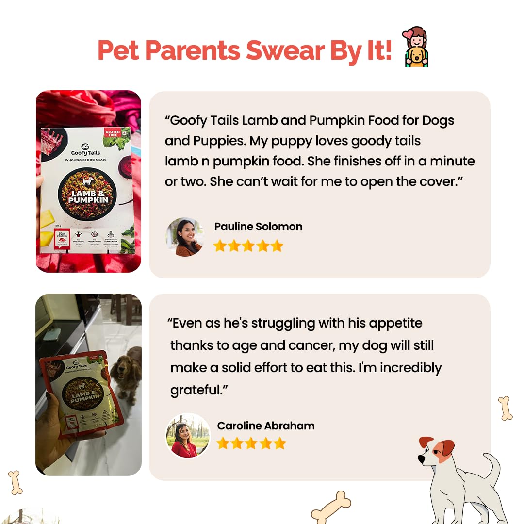 Goofy Tails Lamb & Pumpkin Wet Dog Food 200g (200g X 1 Pack), Wholesome, Human Grade, Preservative & Gluten Free, Taste Booster & Food Topper
