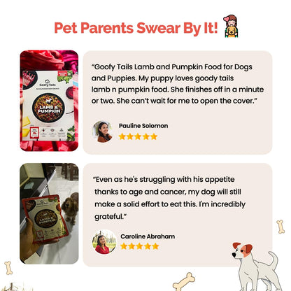 Goofy Tails Lamb & Pumpkin Wet Dog Food 200g (200g X 1 Pack), Wholesome, Human Grade, Preservative & Gluten Free, Taste Booster & Food Topper