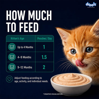 Drools Kitten Wet Mousse 80g | Tuna | High Protein | Promotes Hydration & Easy Digestion | Grain Free | No Artificial Additives | Enriched with Vitamins & Antioxidants