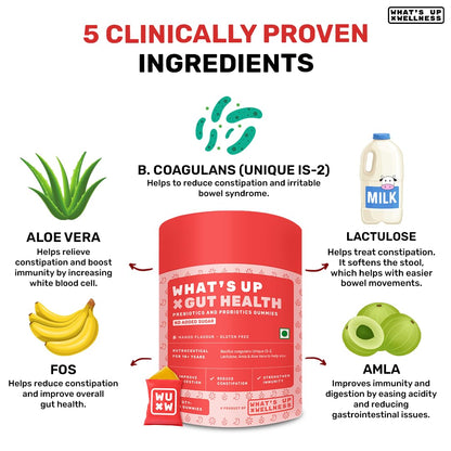 What’s Up Wellness Beauty & Gut Health Combo | Natural Biotin for Strong Hair, Vitamin A, B6, and C for Bright Skin + Prebiotics & Probiotics Supplement for Digestion, Constipation Relief & Immunity