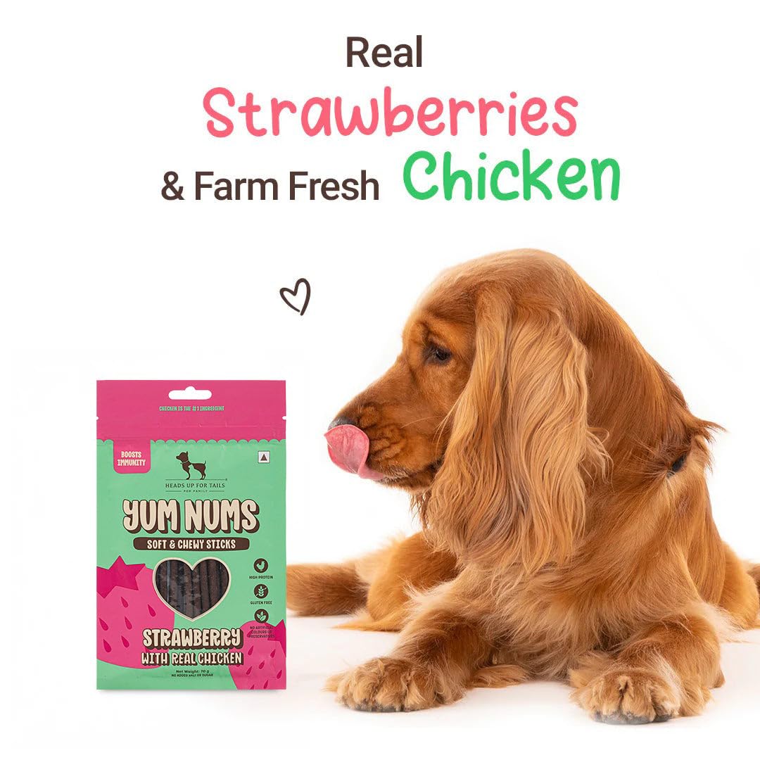 Yum Nums by HUFT Soft & Chewy Sticks - 70gm | Strawberry & Chicken | Dog Treats for Puppy & Adult Dogs | Training Treats for Small Dogs | Dog Snacks & Treats | Healthy & Tasty