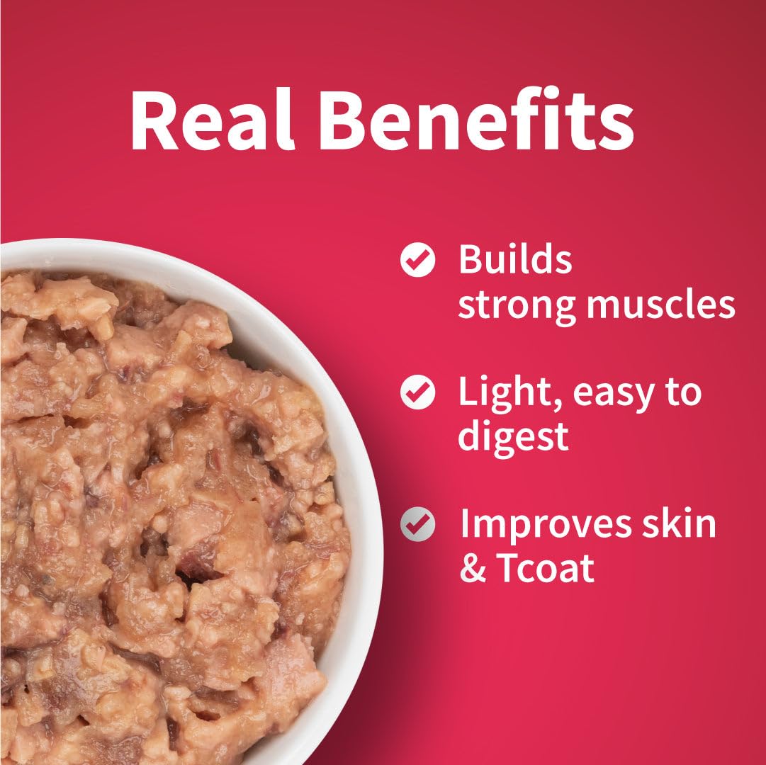 NutriMeow Tuna in Jelly Kitten Wet Food - 80gm | High Protein, Nutritious & Tasty Cat Pouch | Complete Balanced Food | Supports Growth & Development for All Kitten Breeds