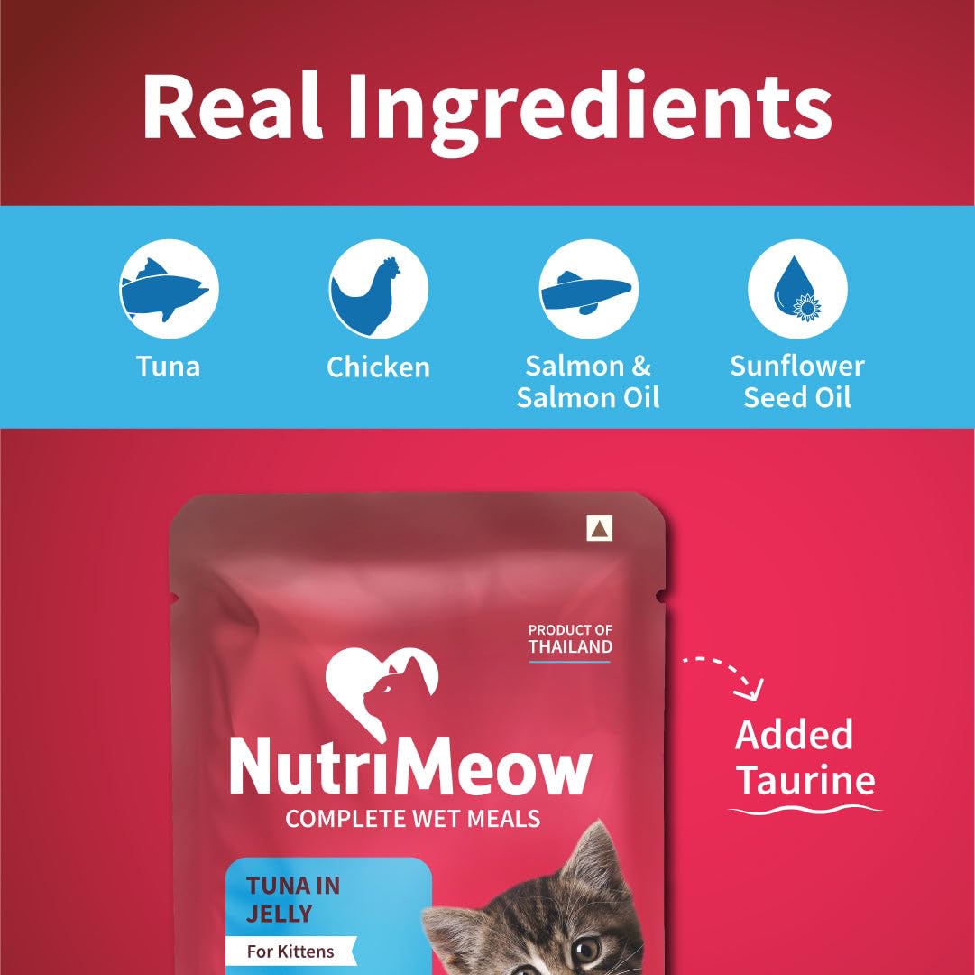 NutriMeow Tuna in Jelly Kitten Wet Food - 80gm | High Protein, Nutritious & Tasty Cat Pouch | Complete Balanced Food | Supports Growth & Development for All Kitten Breeds