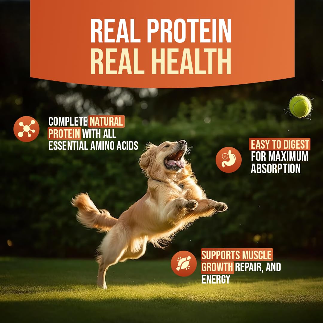 First Bark Dog Treats for Adult Dog & Puppy – Healthy Chews Chicken & Cod Fish Jerky for Dogs, Small Dogs & Shih Tzu | Dog Snacks & Puppy Treats – Hearty Chicken with Cod (70g) x1