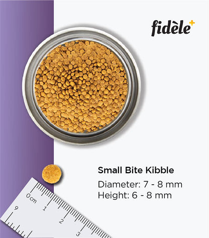 Fidele+ Adult Small & Medium Dog Food | 900g | Small Kibble for Fussy Eaters | Prebiotics for Digestion | Healthy Skin & Coat | Real Chicken
