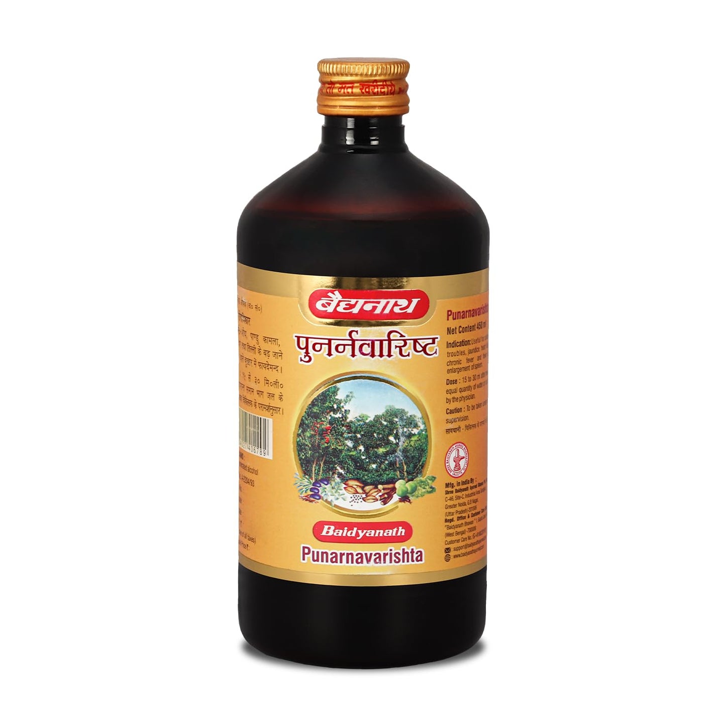 Baidyanath Punarnavarishta bottle on a white background