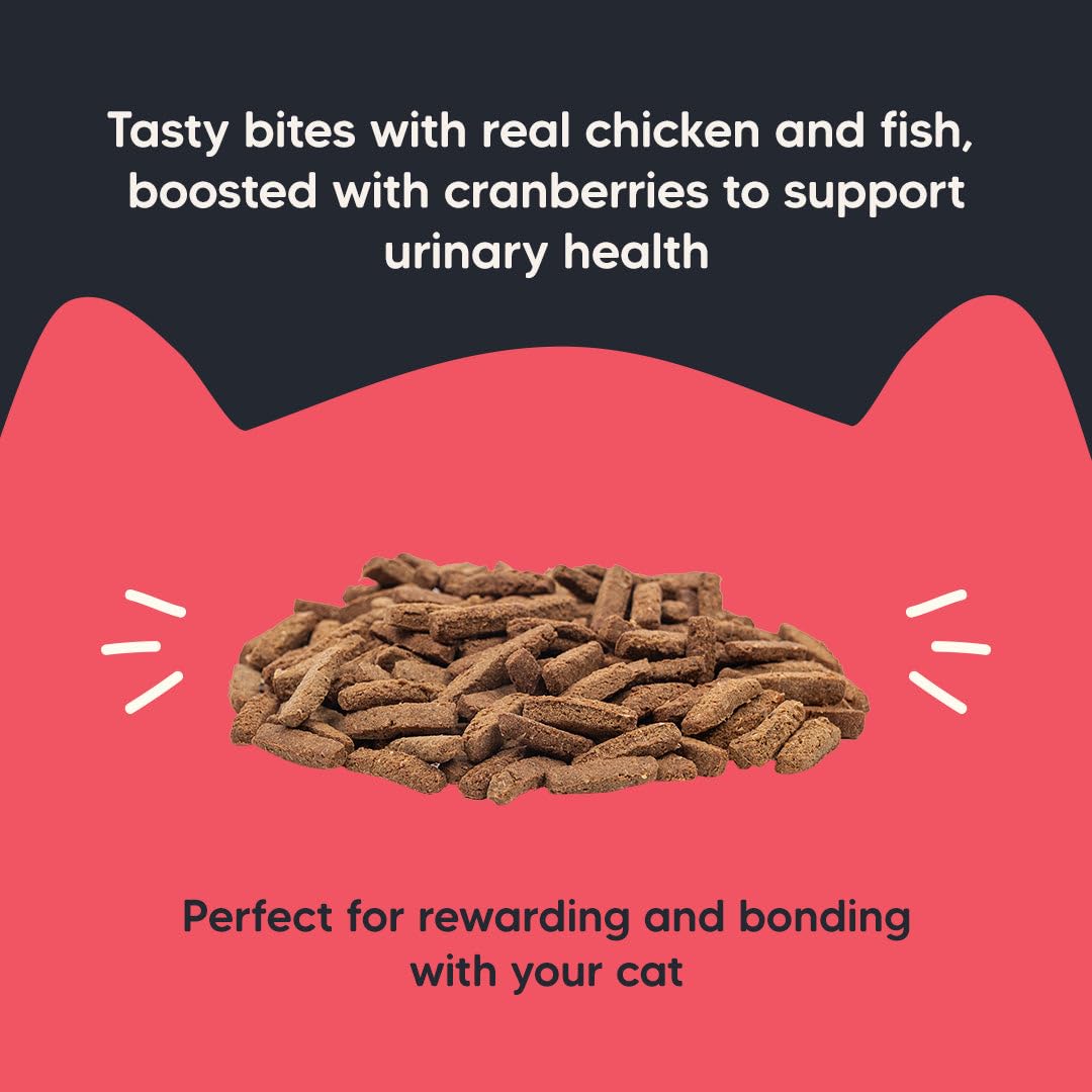 Meowsi by HUFT Power Bites Cat Treats – Chicken, Fish & Cranberry – 50 gm | Irresistible Treats for Cats & Kittens | Persian Cat Favourite | Fun & Nutritious