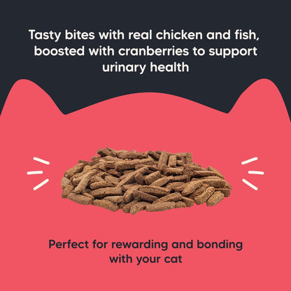 Meowsi by HUFT Power Bites Cat Treats – Chicken, Fish & Cranberry – 50 gm | Irresistible Treats for Cats & Kittens | Persian Cat Favourite | Fun & Nutritious