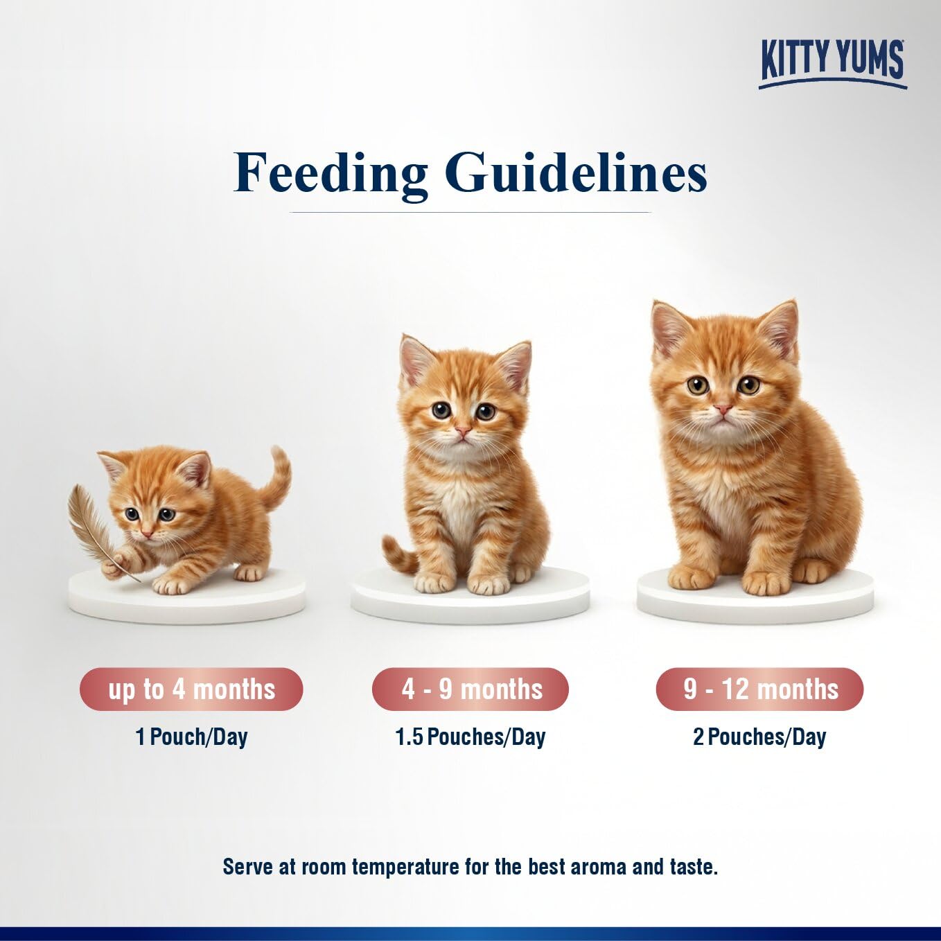 Kitty Yums Kitten Wet Mousse 80g | Salmon | Rich in Protein | Promotes Hydration & Easy to Digest | Grain Free | No Artificial Flavours | Packed with Essential Vitamins & Antioxidants