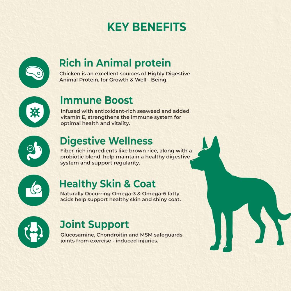 Brunos Adult Chicken Recipe Dry Dog Food - 250g (Pack of 1) | for All Breeds & Sizes | Fresh Chicken | Single Animal Protein with Salmon Oil & Herbs |25% Protein & 15% Fat | Supports Immunity