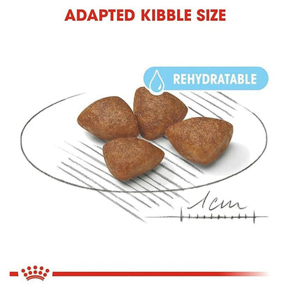 Royal Canin Mini Starter, Mother & Babdog Food, 1 Kg, Dry Food, Supports Complex Natural Defence & digestive health, Provides Gestation/Lactation Support, Supports Easy rehydration