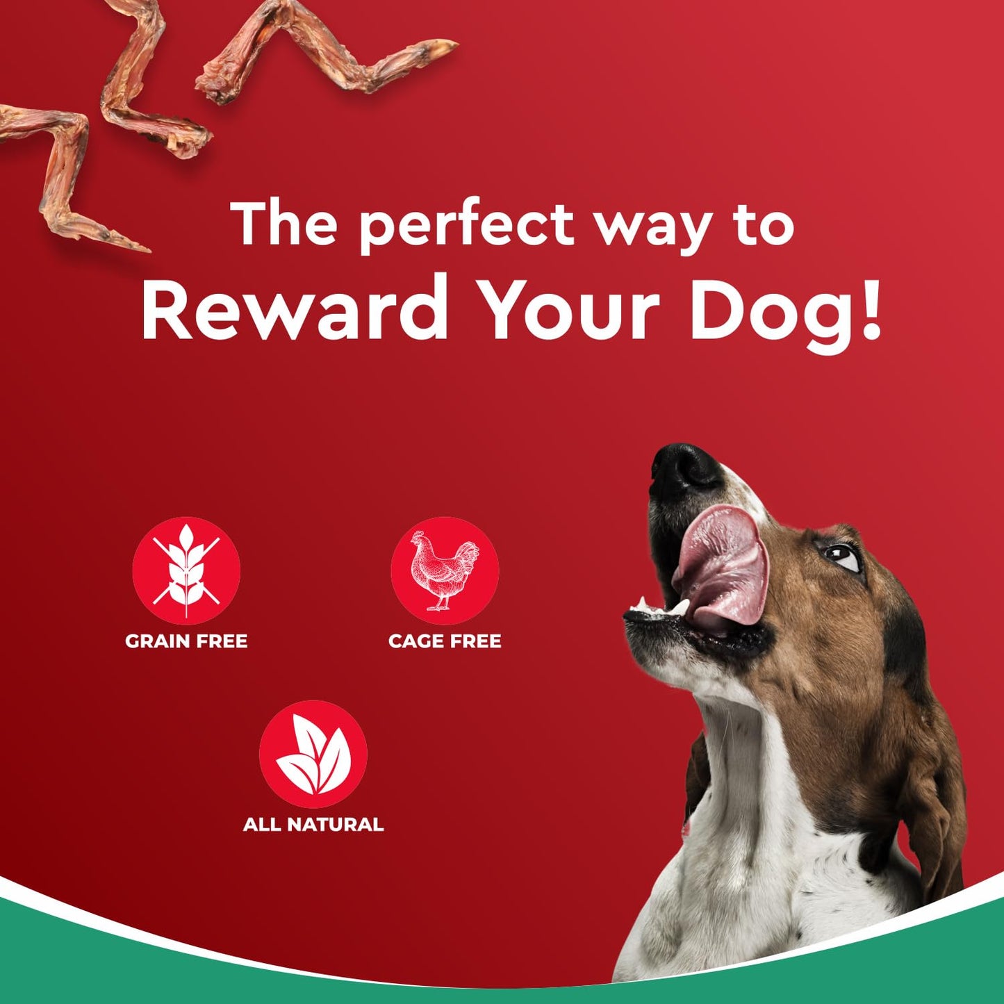Drools Puppy & Adult Dog Treats Dehydrated Chews Wings, 70g| Real Chicken Flavour | Vital Nutrients | Digestive Health | Protein-Packed | Tasty & Nutritious