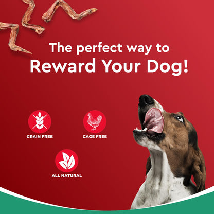 Drools Puppy & Adult Dog Treats Dehydrated Chews Wings, 70g| Real Chicken Flavour | Vital Nutrients | Digestive Health | Protein-Packed | Tasty & Nutritious