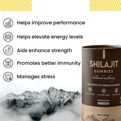 Nirvasa Shilajit/Shilajeet Plus Gummies (2x60 Gummy) | Sugar-Free Energy, Stamina & Endurance Booster | Supports Strength, Immunity & Muscle Recovery | With Fulvic Acid & Essential Nutrients