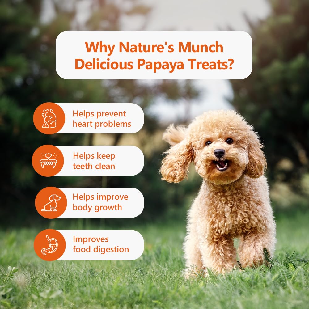 Pawfect Treats Nature's Munch Freeze-Dried Dog Treats Papaya Treats | Supports Digestion, Promotes Healthy Coat and Skin | Healthy Treats for Dogs | Dog Training Treats (40g) Pawfect