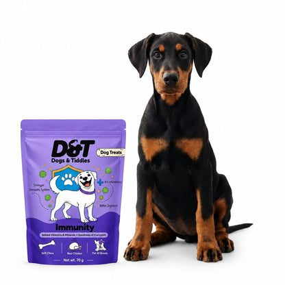 Dogs & Tiddles Immunity Dog Treats for Puppies & Adult Dogs, 70g | Soft & Chewy Real Chicken Puppy Treats | with Curcumin, Vitamins & Minerals | Supports Immune Health