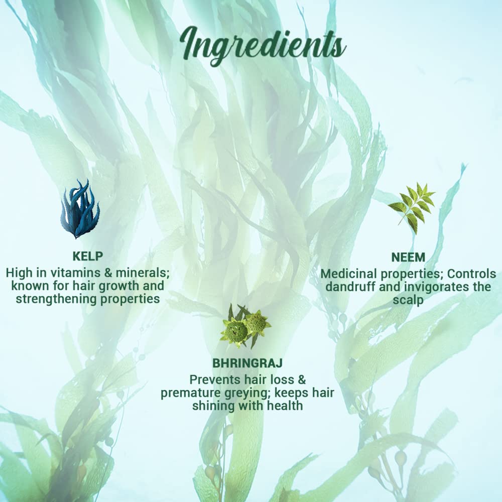 Illustration of seaweed with text on hair care ingredients and their benefits.