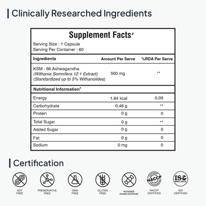 Zephivo Miduty Palak Notes Ashwagandha 3X (500 mg) Supplement - KSM 66 Ashwagandha - Triple Strength Formula - For Mood Stability - Focus, Strength and Stress - 60 Veg Capsules