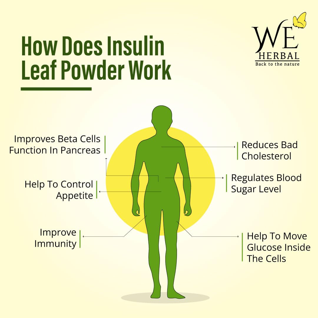 Insulin Plant Leaf Powder Pure insulin plant powder for control Improves Insulin Production (250 gms)