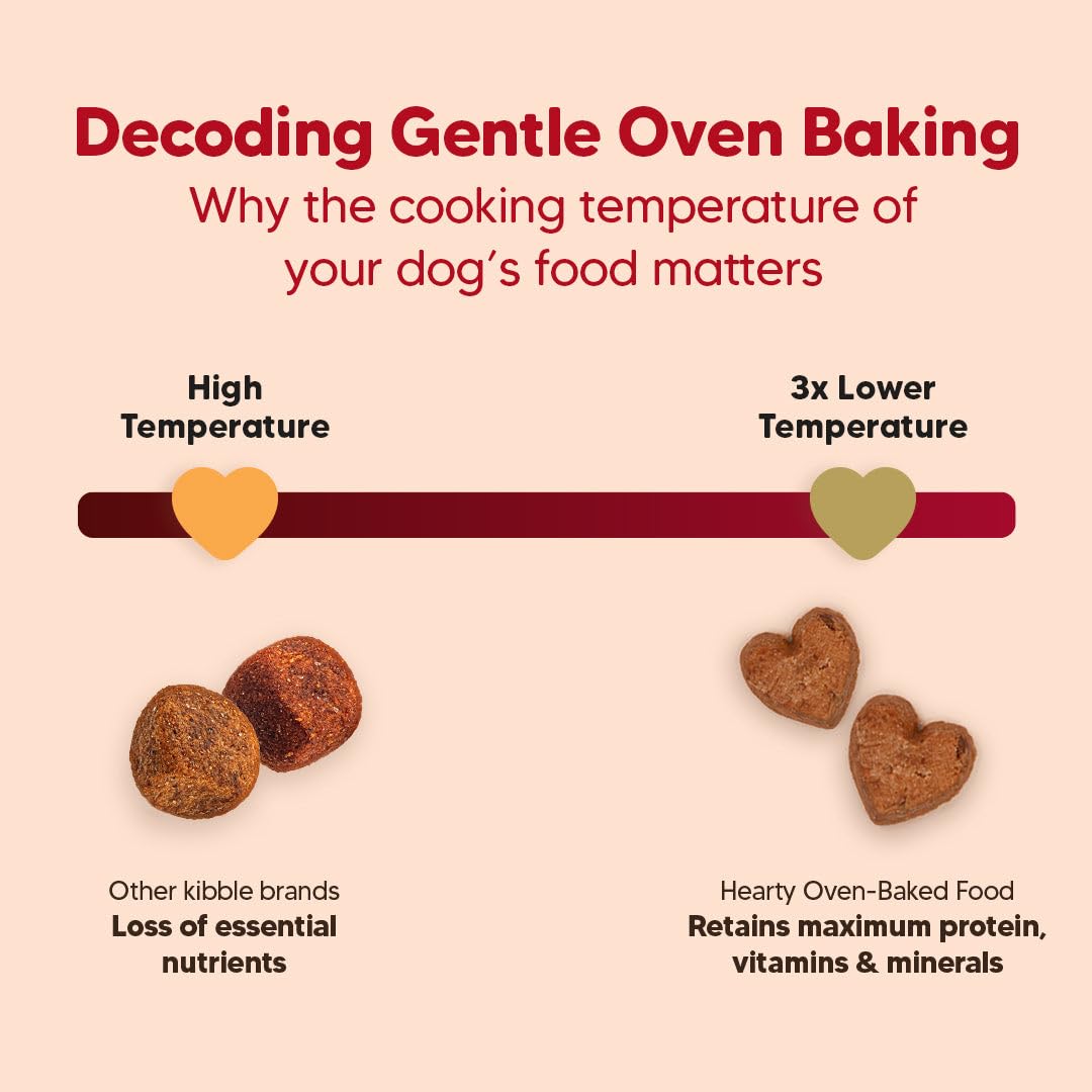 Hearty by HUFT Lamb & Blueberry Dry Dog Food – 250 gm | Adult Dog Food with Superfoods | Oven-Baked Kibble | Complete & Balanced Pet Nutrition | No Artificial Flavours or Fillers