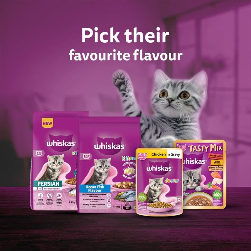 Whiskas Junior Mother Cat & Kitten (2-12 Months) Dry Cat Food, Mackerel Fish Flavour, 450 g, Contains 41 Essential Nutrients, Complete & Balanced Nutrition for Mother Cats & Kittens